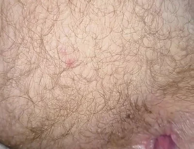Eat My Ass and Drink My Nut