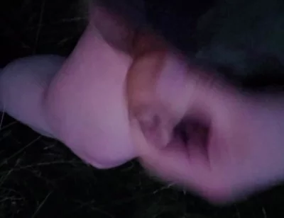 Nice Wank in the Park
