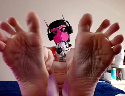 Paws Right in Your Face