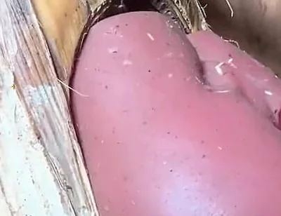 The Prisoner Find Hard Way to Sex