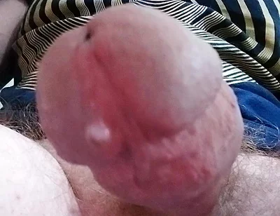 Let Cock Be Your Guide