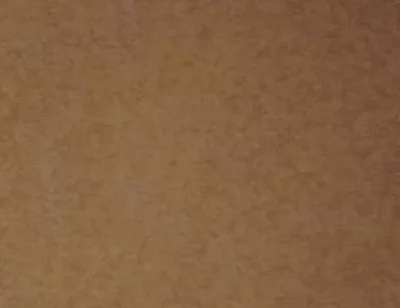 Lets Have Cum Together