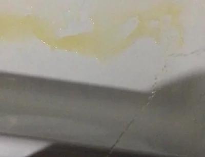 Peeing in the Bathtub