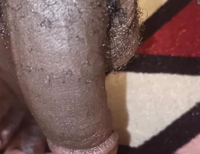 Black Huge Hairy Cock