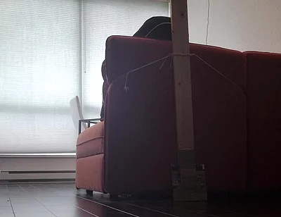 Trying to Learn Something New
