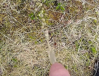 Pissing up in the Mountains