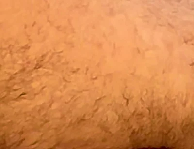 Broken Bear Fuck