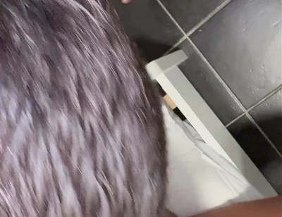 Fucked by the Black Cock
