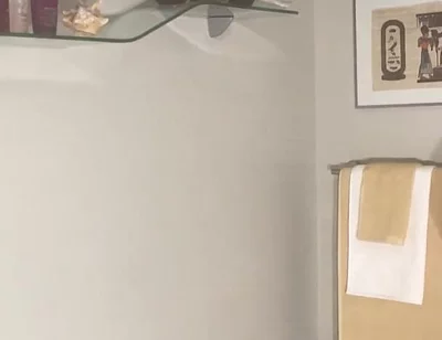 Enema Bathroom Suite 2