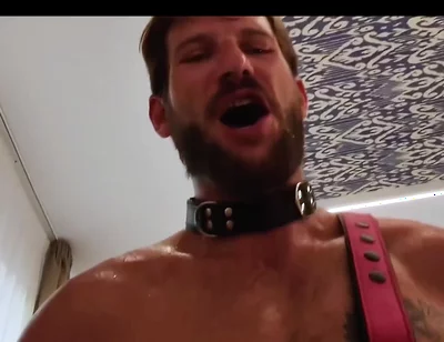 Anal Best of 2025