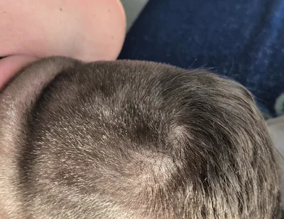 Hairy Stepdaddy Rimming and Railing His Fuck Toy and Cums a Lot