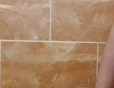 I Made a Video in the Toilet While Taking a Shower.