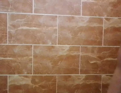 I Made a Video in the Toilet While Taking a Shower.