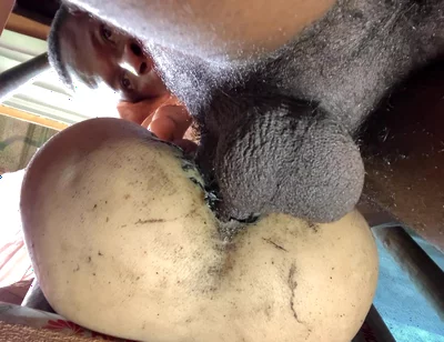 Amateur Big Ass Is Too Tight Make Me Cum Fast That I Did Not Expect