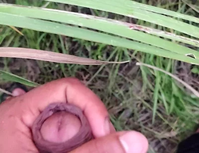 Masturbating in the Sugarcane Field