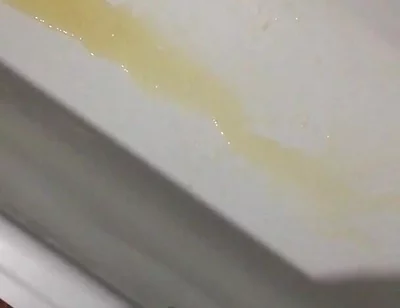 Peeing in the Bathtub