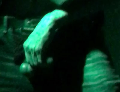 Young Jock Guy Masterbates in Club