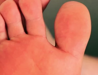 Sniff & Submit Foot Worship Trainer