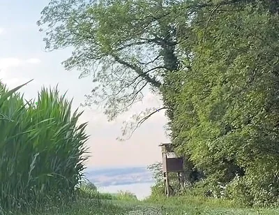Risky Bwc Stroking Outdoors on Meadow with Lake View - Big Cumshot