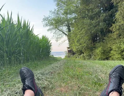 Risky Bwc Stroking Outdoors on Meadow with Lake View - Big Cumshot