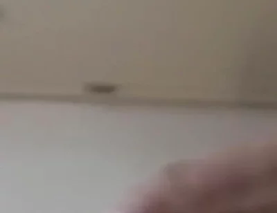 Quick Tease