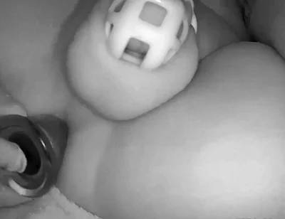 Toy in My Ass