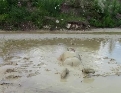 Me Playing in Deep Light Mud