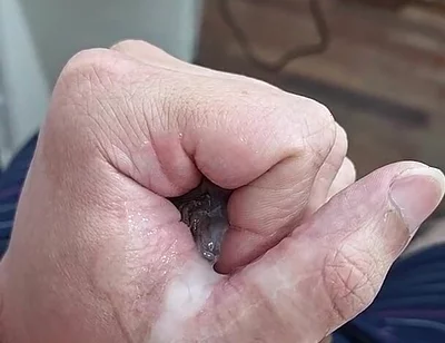 Big Dick Gone Wild