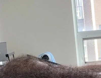 Bricked up This Hump Day