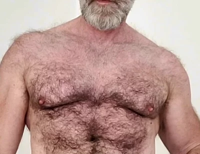 Sexy Hairy Muscle Bear