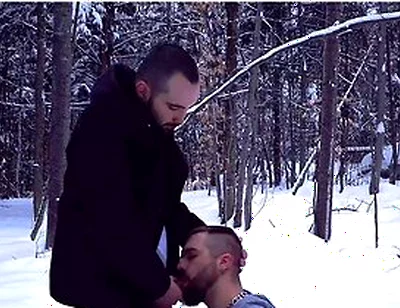 Two Straight Bearded Pig Unloading Their Balls In The Snowy Fields