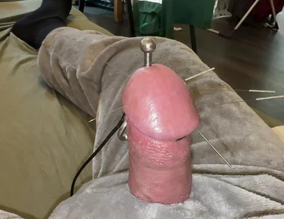 Acorn Acupuncture in a Cozy Cuddly Suit! Lots of Sperm!