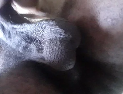 My Ball Sack Swings