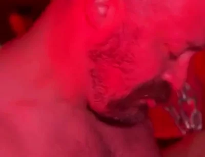 Bear Cruises the Dark Rooms