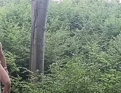 Between the Beeches: Rough Exhibition on Bare Wood