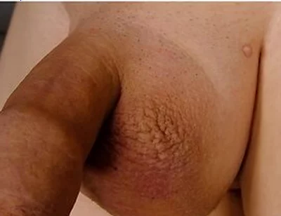 Close Up Soft Little Penis With Drooping Foreskin And Big Testicles Hands Free Show