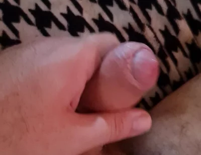 Nice Cock Mirko2589