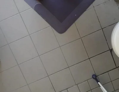 Video Examination of the Neck Holder for Ass