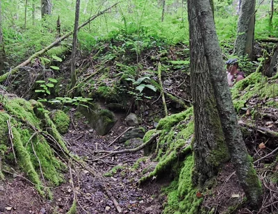 Gray Day Hiking