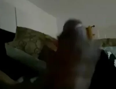 887401863522041856.mp4