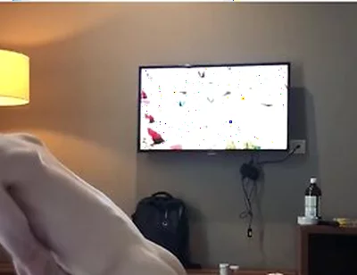 Cock Hungry Boy Needs Seed