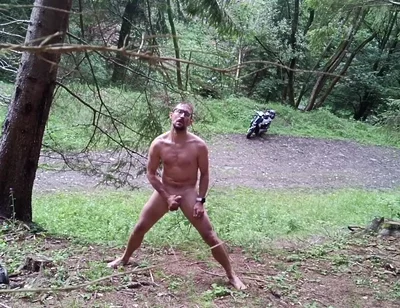 Wild Slovak Nature