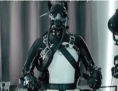 Rubber Pup Bound [pp Training]