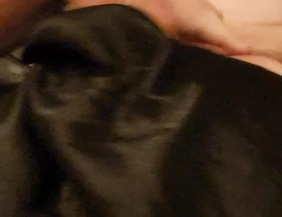 Slut's Cock and Tit Games