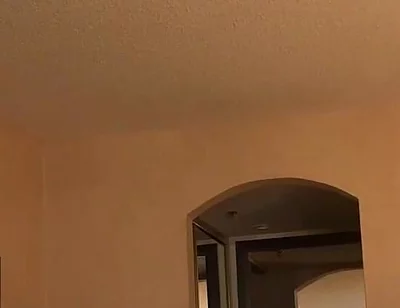 Bear Gets a Blowjob