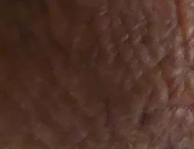 Closeup Desi Dick