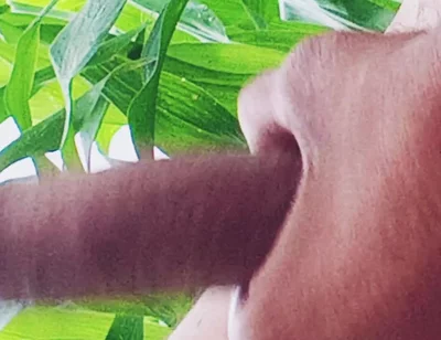 Worldwide Trending Desi Hunk Solo Action Part 8 - Premium Faceless Amateur Close-up Intense Stroking Session 4K