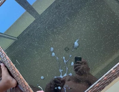 Cum on the Table Before Airbnb Checkout