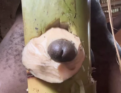 Hoter Way to Be Very Hard Strong Straight Cum Cute