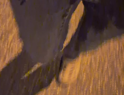 Pissing Jeans Outdoors